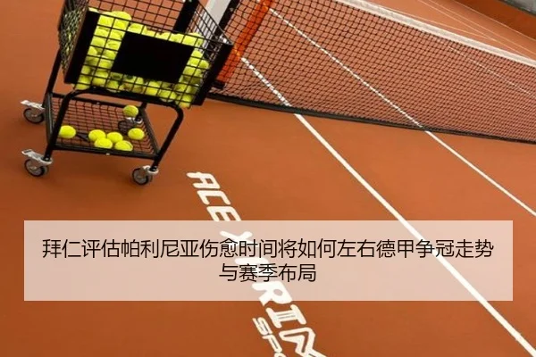拜仁评估帕利尼亚伤愈时间将如何左右德甲争冠走势与赛季布局