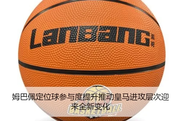 img_1783362484602_1556_1_291.jpg
